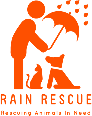Rain Rescue logo