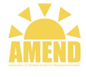 AMEND logo