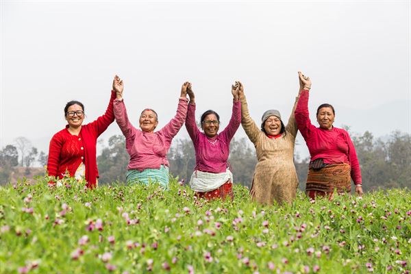 Women working on a vegetable farm, which was set up by Women for Human Rights (WHR) in Chapagaun, Nepal. PHOTO CREDIT: SAJANA SHRESHTA FOR WOMANKIND WORLDWIDE.