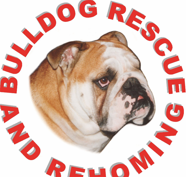 Bulldog Rescue logo