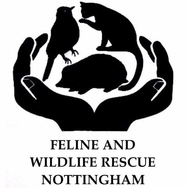 Feline and Wildlife Rescue Nottingham logo
