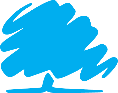 Chelmsford Conservative Association logo