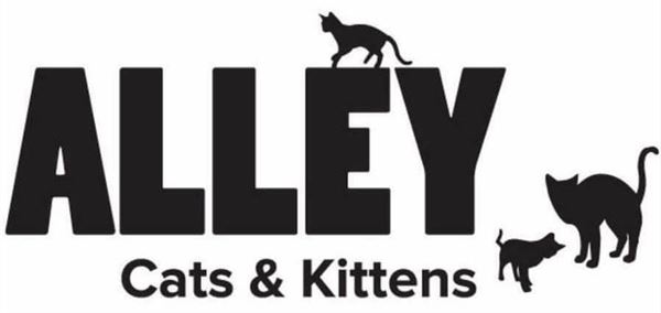 Alley Cats & Kittens logo