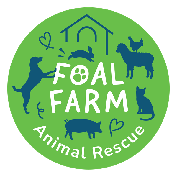 Foal Farm Animal Rescue logo