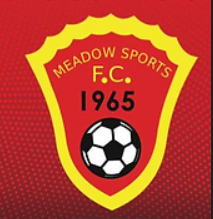Meadow Sports FC logo