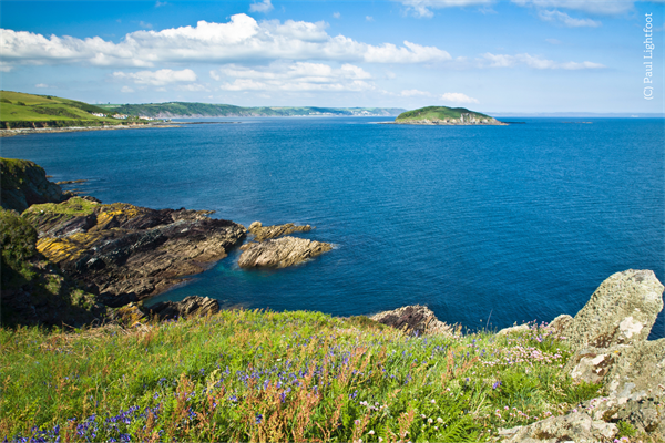 © Looe Island nature reserve, Paul Lightfoot