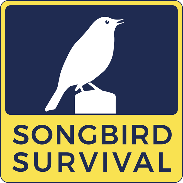SongBird Survival logo