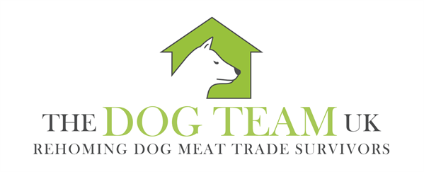 The Dog Team UK logo