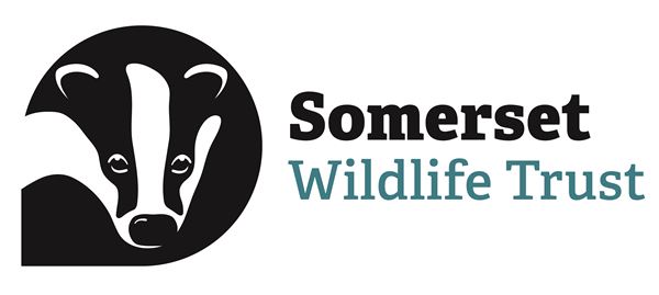 Somerset Wildlife Trust logo