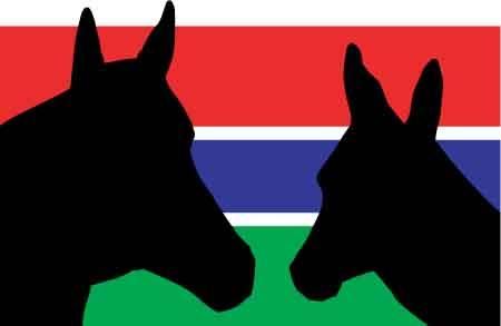 Gambia Horse and Donkey Trust logo